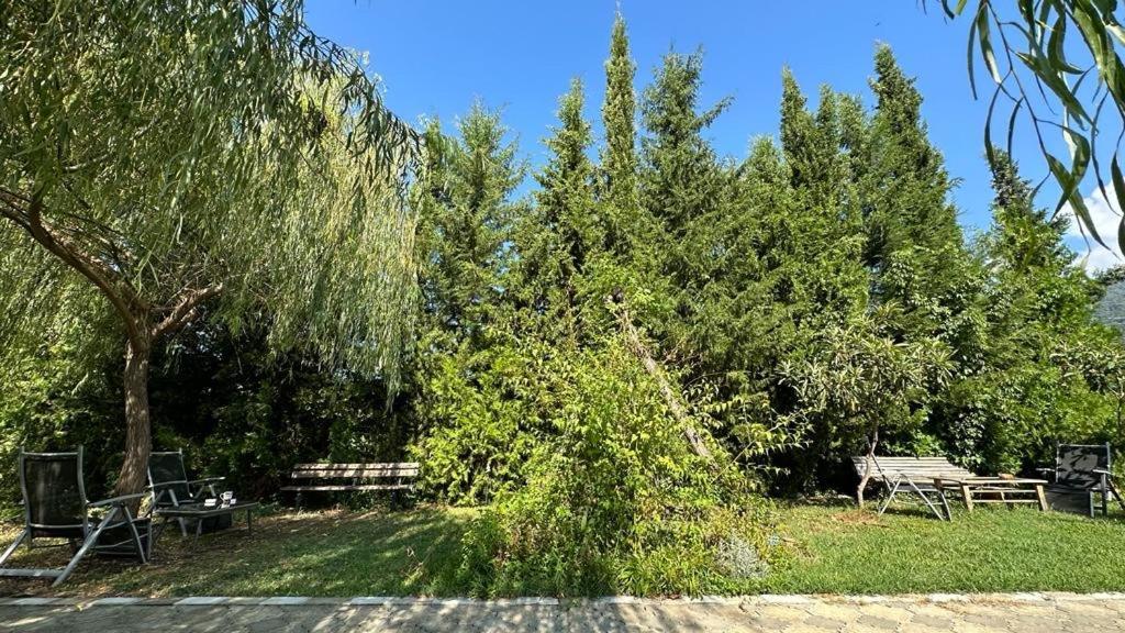 Green House Kvareli Exterior foto